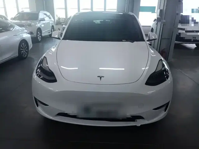 Tesla Model Y — Фото автомобиля 2