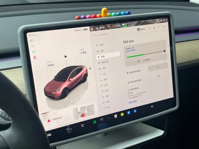 Tesla Model Y — Фото автомобиля 17