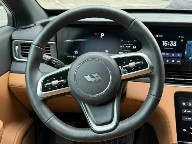 Li Auto Li ONE 2021 Extended Range 6-Seater — Фото автомобиля 11
