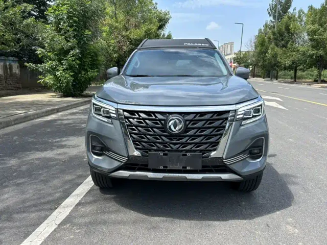 Dongfeng Palasso — Фото автомобиля 5
