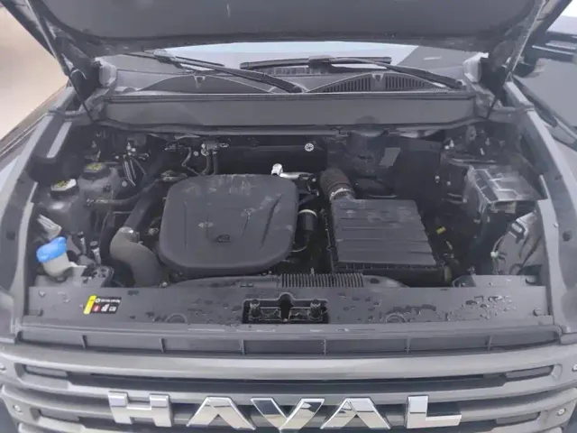 Haval Raptor — Фото автомобиля 10