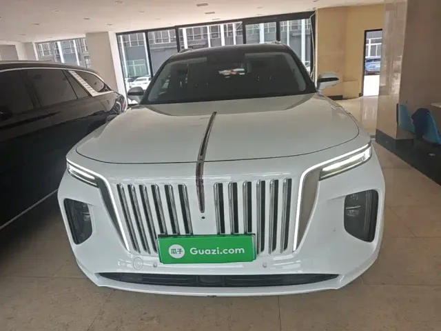 Hongqi E-HS9 — Фото автомобиля 2