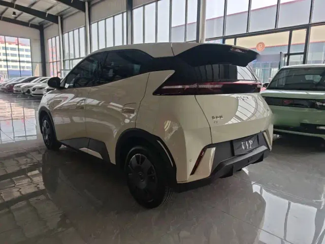 BYD Seagull — Фото автомобиля 4