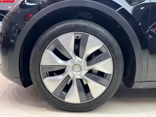 Tesla Model Y — Фото автомобиля 6