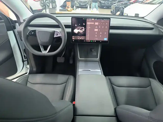 Tesla Model Y — Фото автомобиля 9
