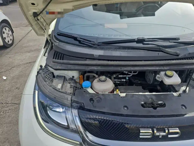 BYD Dolphin — Фото автомобиля 17