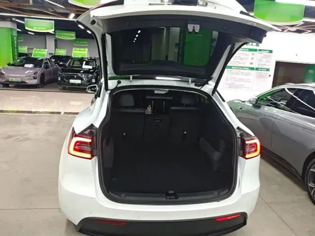 Tesla Model Y — Фото автомобиля 18
