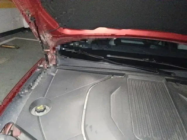 BYD Qin PLUS — Фото автомобиля 21