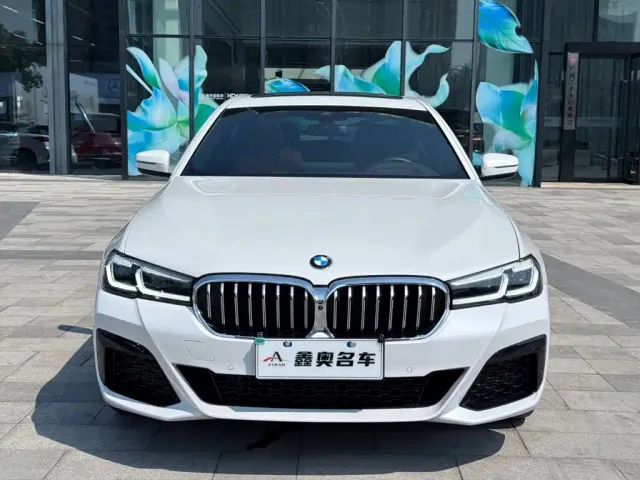 BMW 5 Series — Фото автомобиля 2