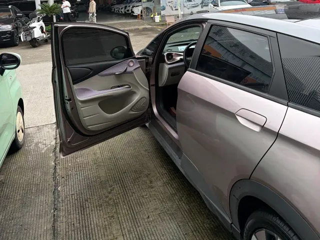 BYD Dolphin 2021 401km Knight Edition — Фото автомобиля 3