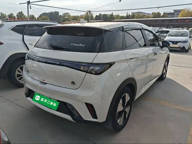 BYD Dolphin — Фото автомобиля 6