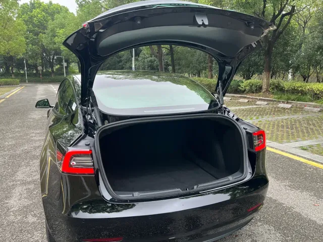 Tesla Model 3 — Фото автомобиля 16