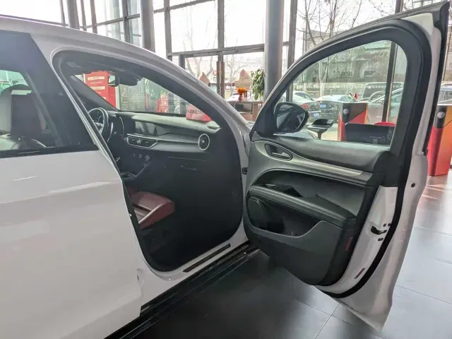 Alfa Romeo Stelvio — Фото автомобиля 11