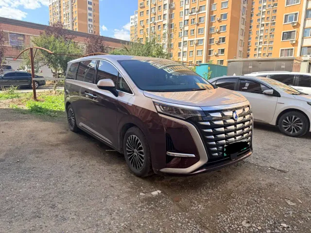 Denza D9 — Фото автомобиля 3