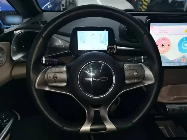 BYD Dolphin — Фото автомобиля 10