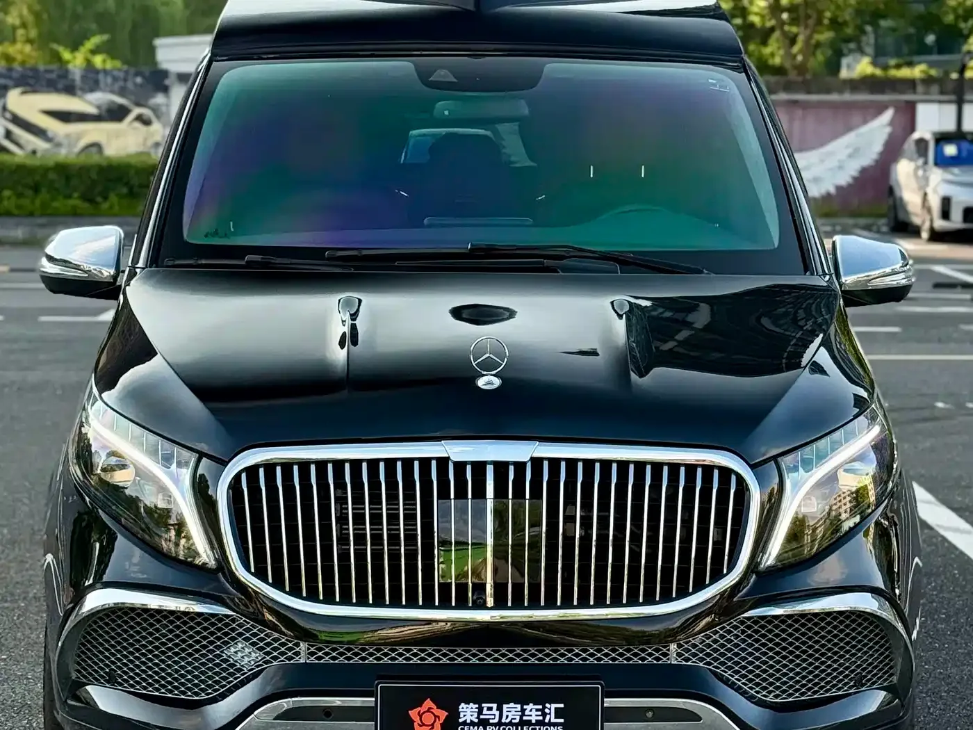 Shangzhe Shangzhe V-Class 2021 V260L Platinum Horse Edition — Фото автомобиля 3