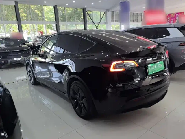 Tesla Model Y — Фото автомобиля 4