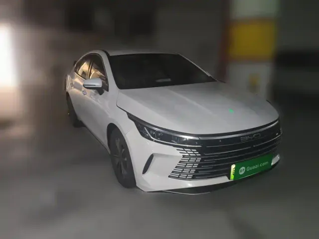 BYD Destroyer 05 — Фото автомобиля 23