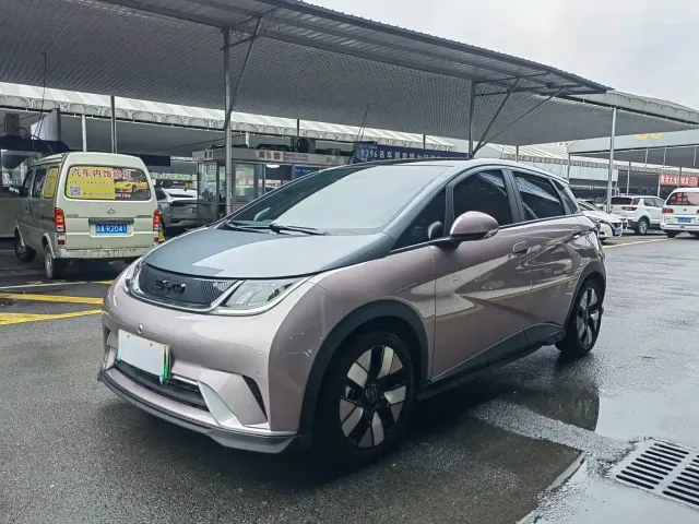 Фотография автомобиля — BYD Dolphin