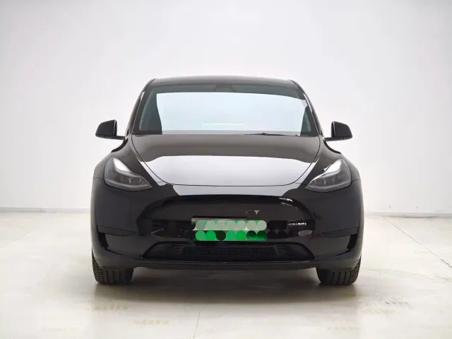 Tesla Model Y — Фото автомобиля 2