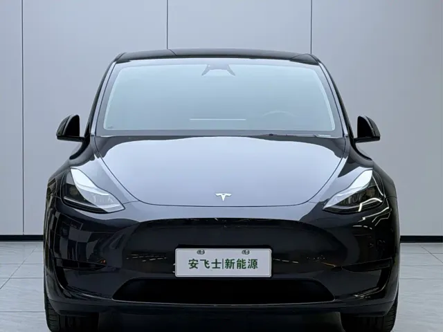 Tesla Model Y — Фото автомобиля 2