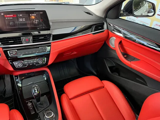 BMW X2 — Фото автомобиля 13