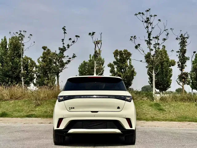 BYD Dolphin — Фото автомобиля 6