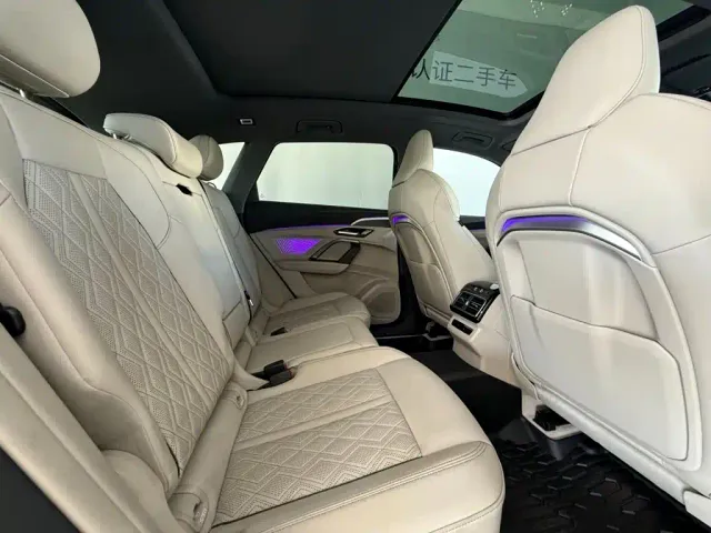 Audi Q5L — Фото автомобиля 9