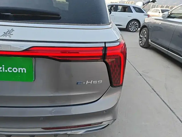 Hongqi E-HS9 — Фото автомобиля 7