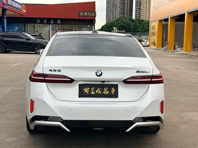 BMW 5 Series — Фото автомобиля 19