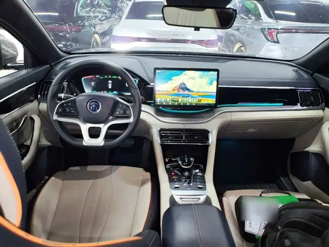 BYD Song PLUS — Фото автомобиля 9