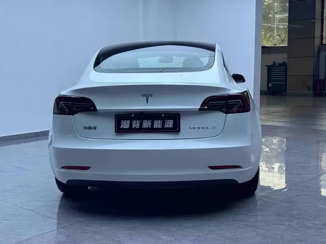 Tesla Model 3 — Фото автомобиля 14