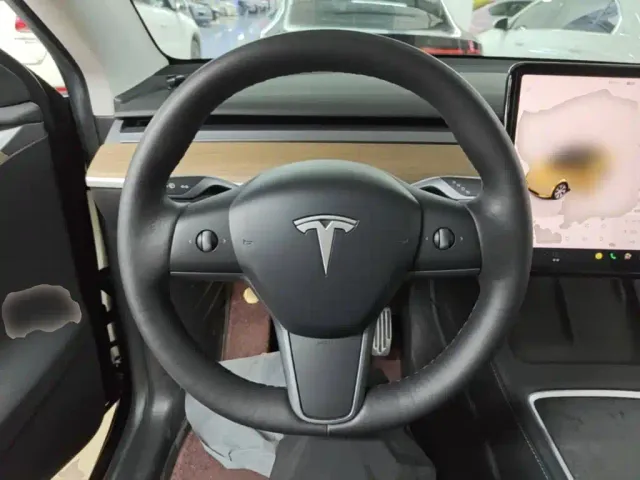 Tesla Model Y — Фото автомобиля 10