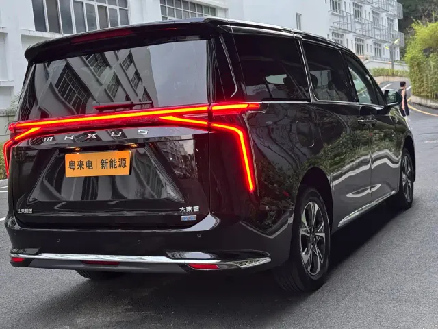 Maxus Dajia 9 — Фото автомобиля 8