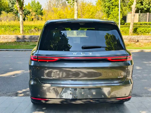 Wey V9X — Фото автомобиля 16