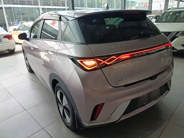 BYD Dolphin — Фото автомобиля 4