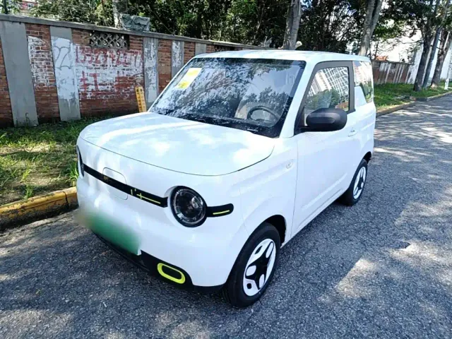 Фотография автомобиля — Geely Panda