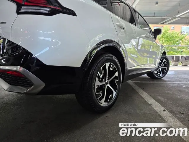 Kia Sportage — Фото автомобиля 19