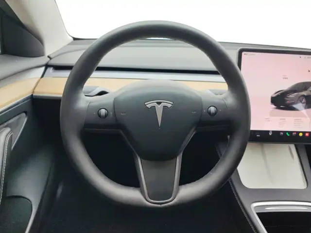 Tesla Model 3 — Фото автомобиля 15