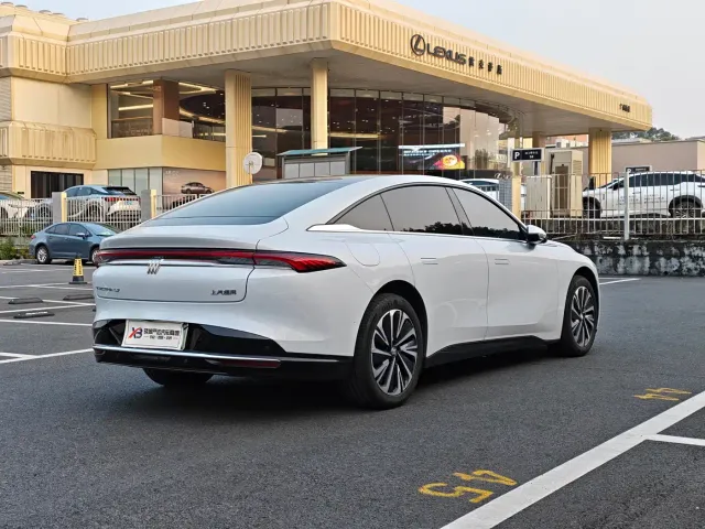 Buick Electra L7 — Фото автомобиля 6