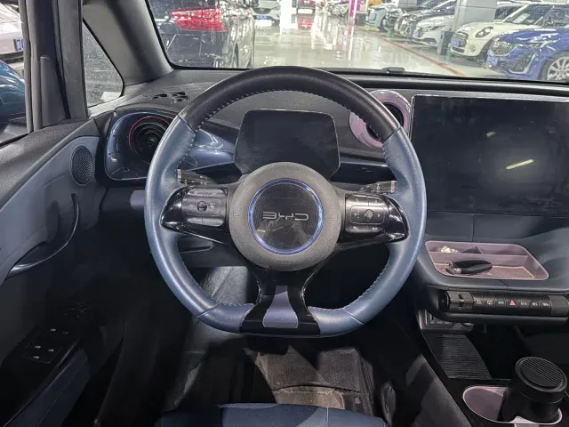 BYD Dolphin — Фото автомобиля 6