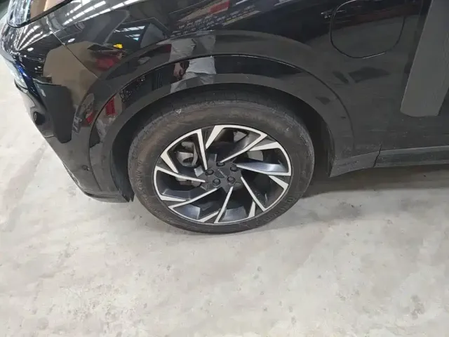 Lynk & Co Lynk & Co 09 EM-P 2021 2.0T PHEV Halo 6-seater — Фото автомобиля 24