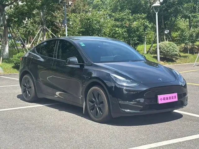 Tesla Model Y — Фото автомобиля 3