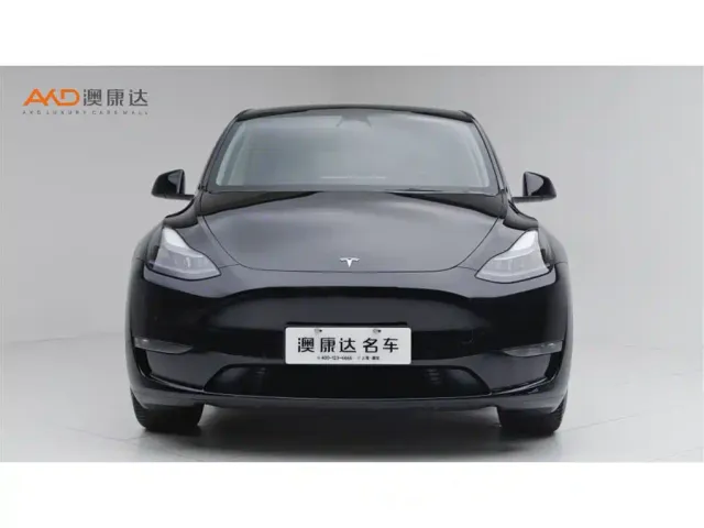 Tesla Model Y — Фото автомобиля 2