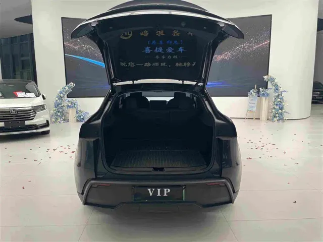 Tesla Model Y — Фото автомобиля 16