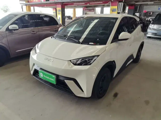 Фотография автомобиля — BYD Seagull