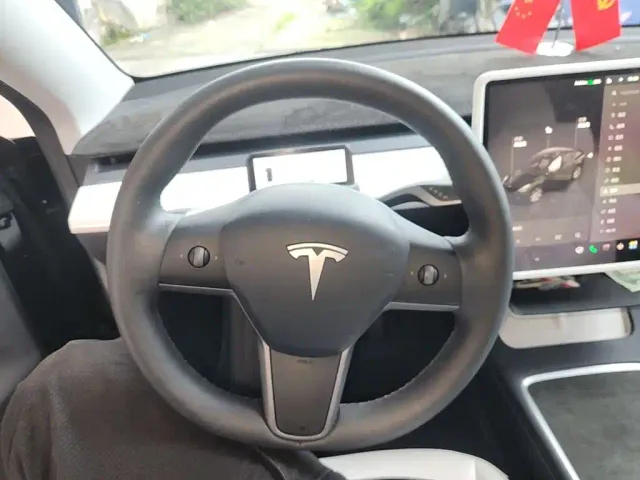 Tesla Model Y — Фото автомобиля 10