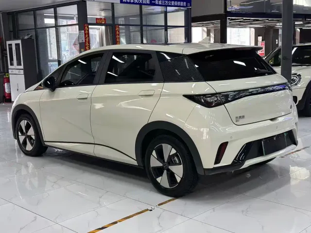 BYD Dolphin — Фото автомобиля 4