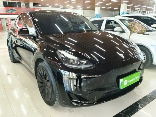 Tesla Model Y — Фото автомобиля 3
