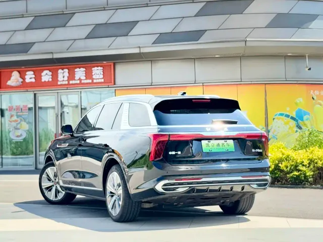 Hongqi E-HS9 — Фото автомобиля 3